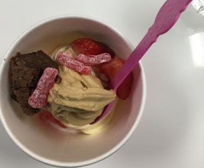 Froyo World: a delicious addition to the Scotch Plains downtown