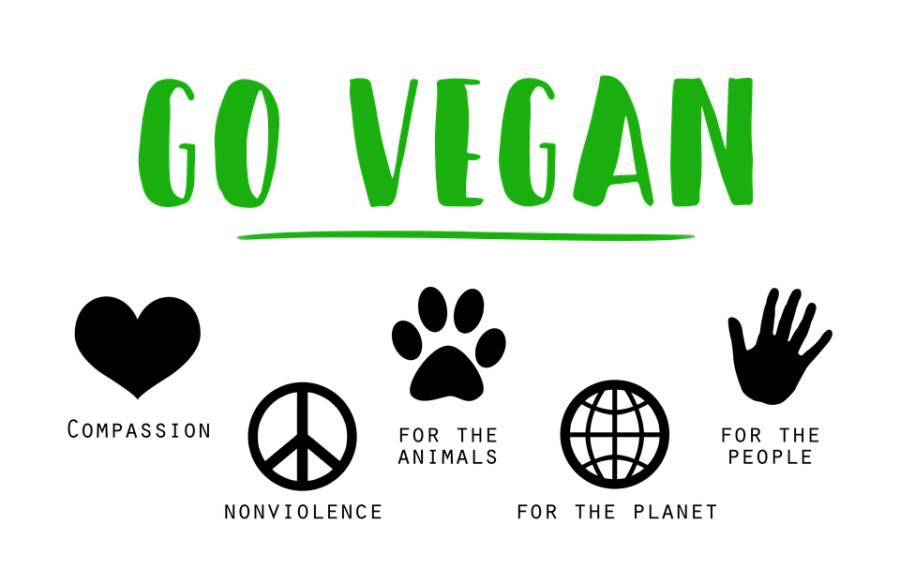 Saying ‘Hello’ to Veganism