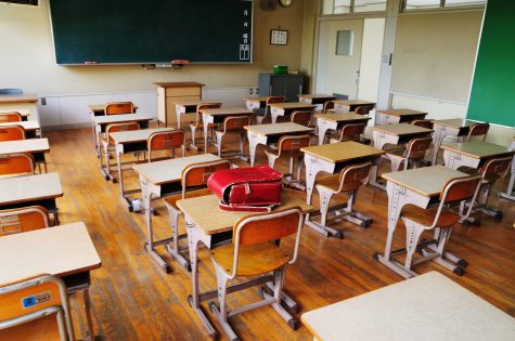 Are You Really Smarter Than a Fifth Grader?