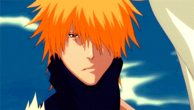 Bleach DVD 24 - Review - Anime News Network