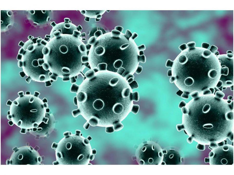 The Coronavirus: affecting SPFHS from afar