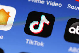 Is TikTok dangerous? Controversy arises over security concerns