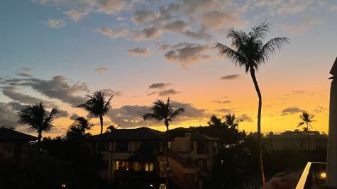 Top 7 Things to Try While in Maui, Hawaii