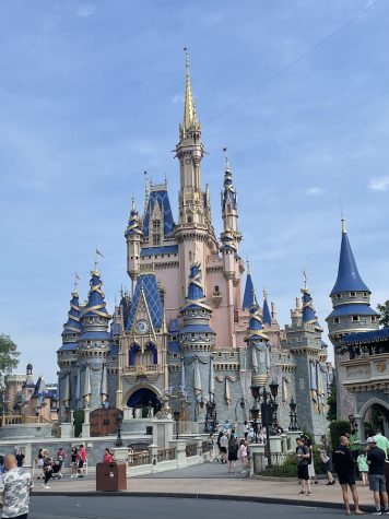 Top 5 Rides at Disney Worlds Magic Kingdom