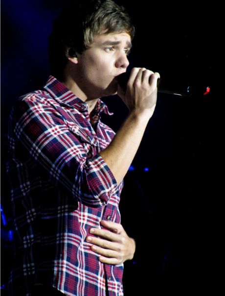 A young Liam Payne performs with One Direction to a captivated audience. Payne was a member of the band from its formation on X Factor in 2010 until the group went on their indefinite hiatus in 2016.
