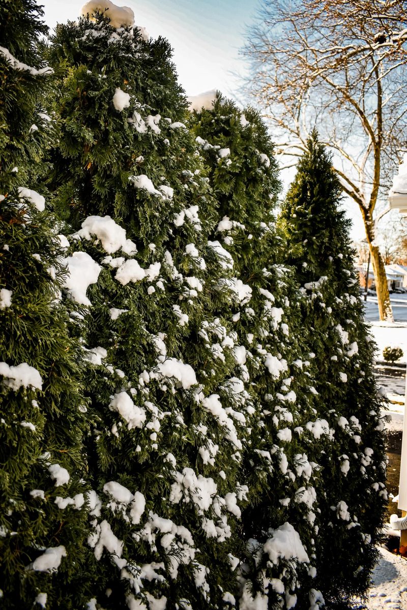 Snow hits Scotch Plains as students prepared for Winter Break.
