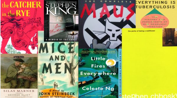 Navigation to Story: Summer Reading: An Insight on Both Perspectives