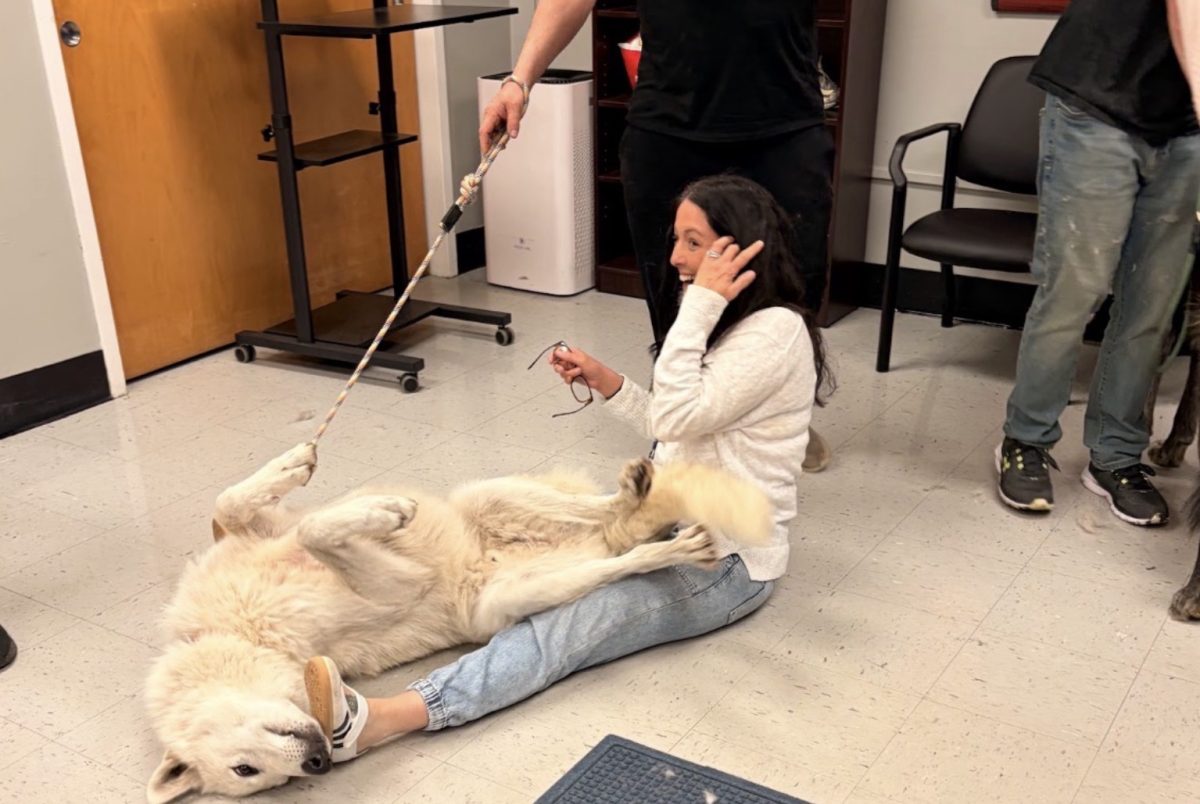 Environmental Club Leads Bring Your Child To Work Day with Wolf-Dogs